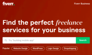 Best freelance websites for beginners-FIVERR