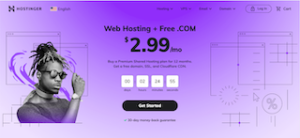 Hostinger review- best web hosting for beginners