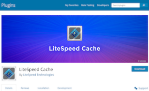 LiteSpeed cache plugin review
