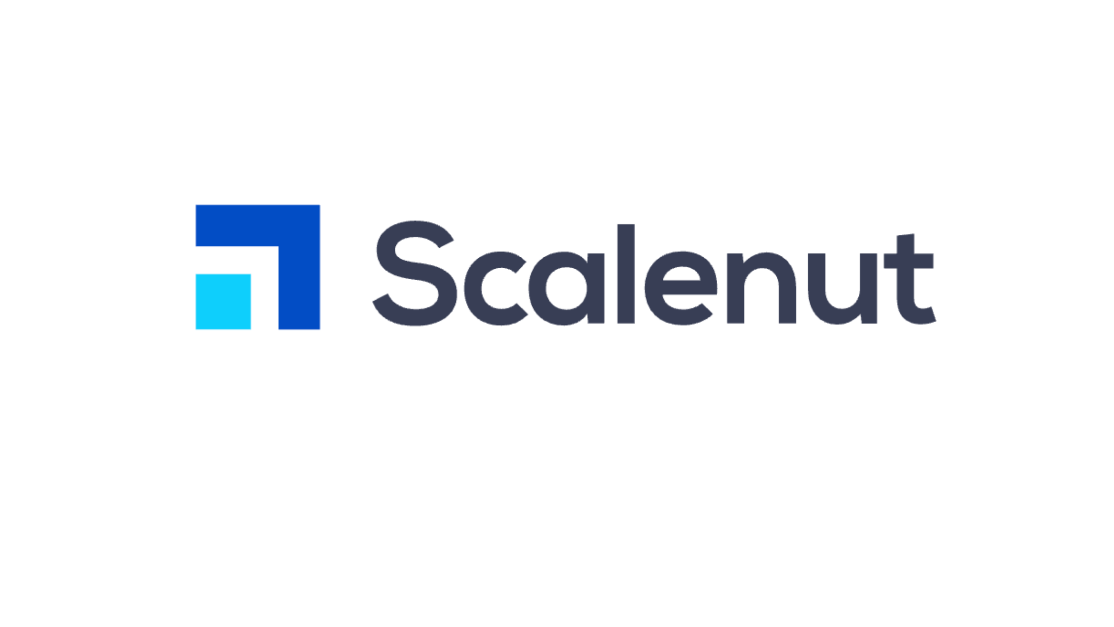 Scalenut review